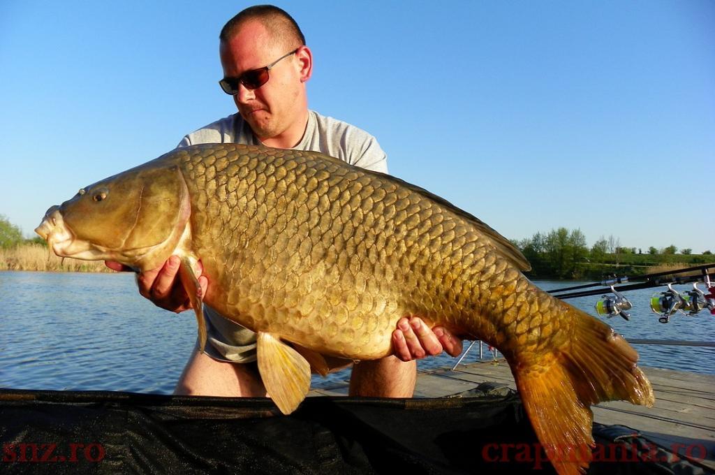 Trofeul tancabesti 2013 - 1010316.jpg